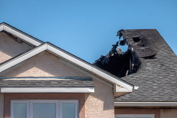 Top rated local Odor Removal specialists in Atco, NJ